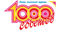 1000 советов 
