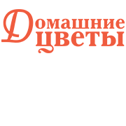 Домашние цветы